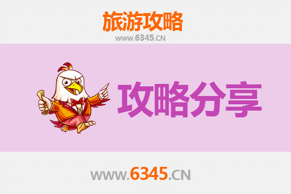 新乡卫辉旅游攻略：跟团与自由行深度对比